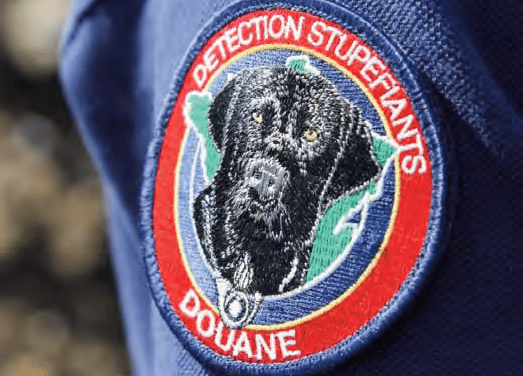 Saisie exceptionnelle d&rsquo;1,5 tonne de cocaïne sur un voilier au large de la Martinique