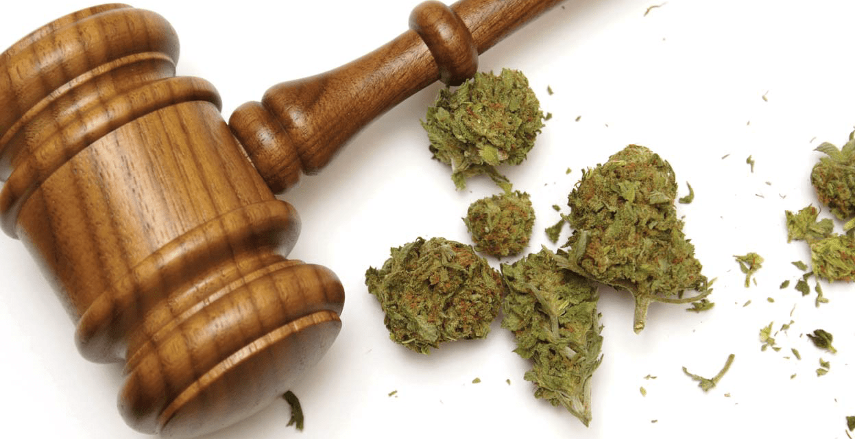 L’usage de cannabis désormais réprime par contraventions