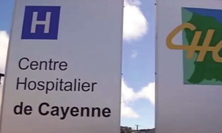 Crise sanitaire » en Guyane : des femmes enceintes transférées aux Antilles faute de personnel