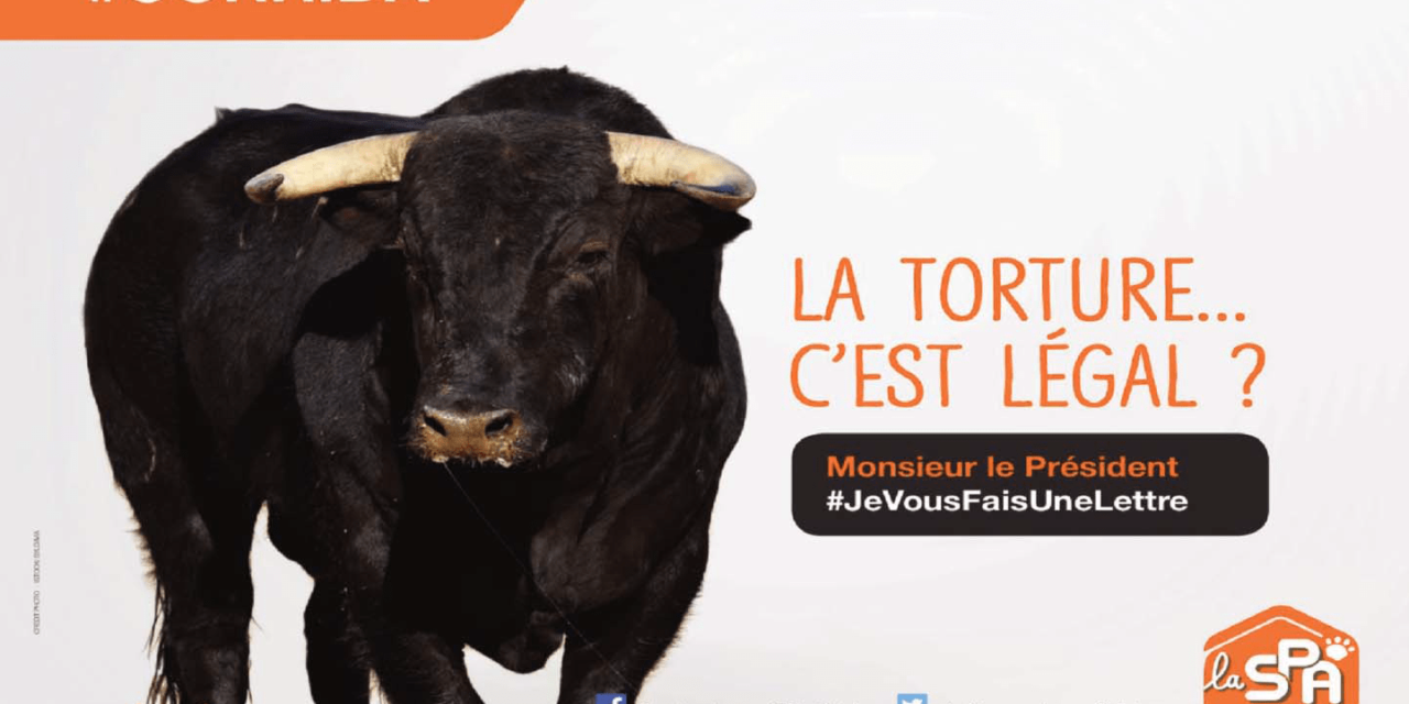 La SPA lance une guerre judiciaire contre la corrida et autres « tortionnaires des bêtes »