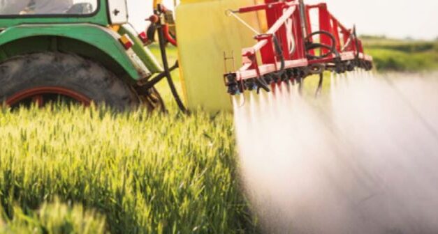 Une association attaque les limites autorisées de chlordécone  dans les aliments