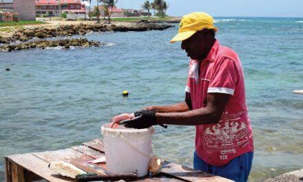 Un campus des métiers de la mer verra le jour en septembre