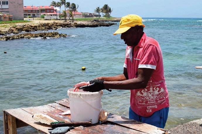 Un campus des métiers de la mer verra le jour en septembre