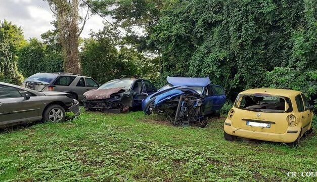 Délinquance environnementale : 128 infractions ont été relevées en 2020