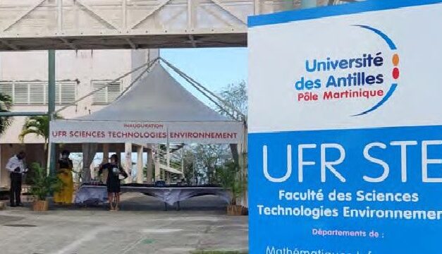 Le DSI devient un UFR Sciences Technologies Environnement