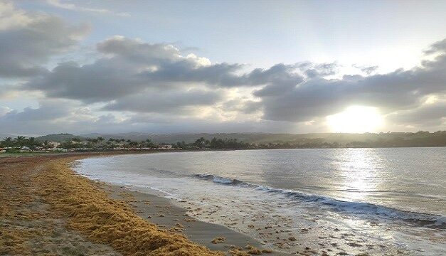 Un deuxième plan doit voir le jour d’ici fin 2021