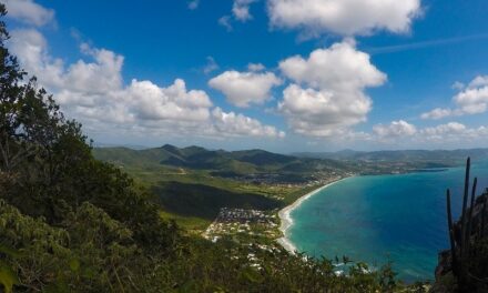 La Martinique labellisée « Réserve mondiale de biosphère »