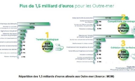 Aide à la reprise économique : le bilan de France Relance en Outre-mer