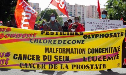 Cancer de la prostate des ouvriers agricoles : la maladie professionnelle bientôt reconnue