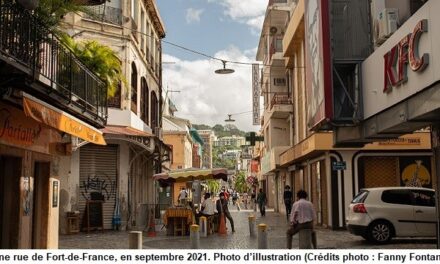 Bilans démographiques de 2020 : les Antilles se dépeuplent, pas la Guyane