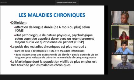 Quatre personnes sur dix atteintes de maladies chroniques en Martinique