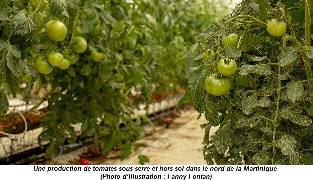 Le nombre d’exploitations agricoles continue de diminuer