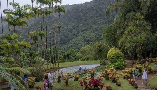 Ziléa chiffre l’impact économique de la crise sanitaire sur le tourisme