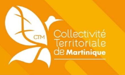 Consultation Citoyenne de la CTM : 158 réponses enregistrées
