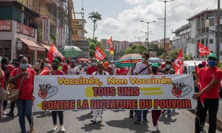 Obligation vaccinale des soignants : une mission flash sur les Antilles-Guyane