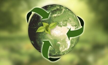 Des aides pour limiter l’impact environnemental des activités économiques 