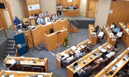 L’Assemblée de Martinique déclare l’état d’urgence sur les prix