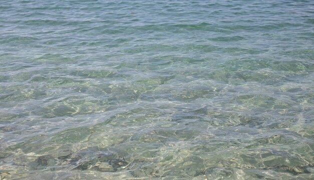 98 % des eaux de baignade de Martinique aux normes européennes