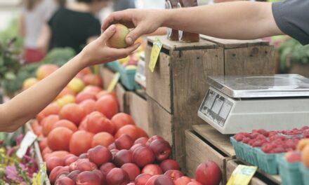 + 4,1% des prix à la consommation des ménages martiniquais en un an