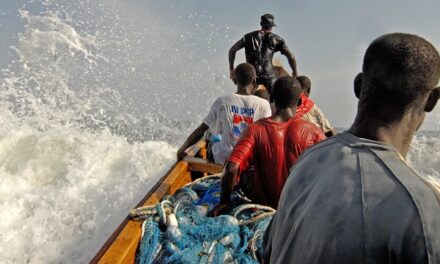 La Martinique relance l’État afin d’obtenir le renouvellement des flottes de pêche