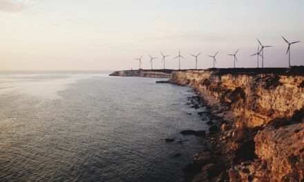 Comment atteindre l’autonomie énergétique Outre-mer?