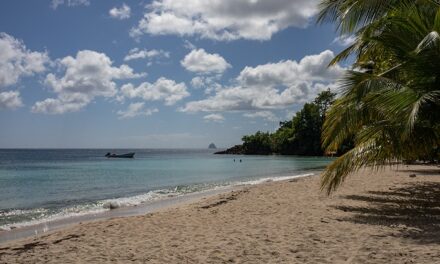 35 propositions pour renforcer l’attention de l’État et tenir compte de l’environnement caribéen