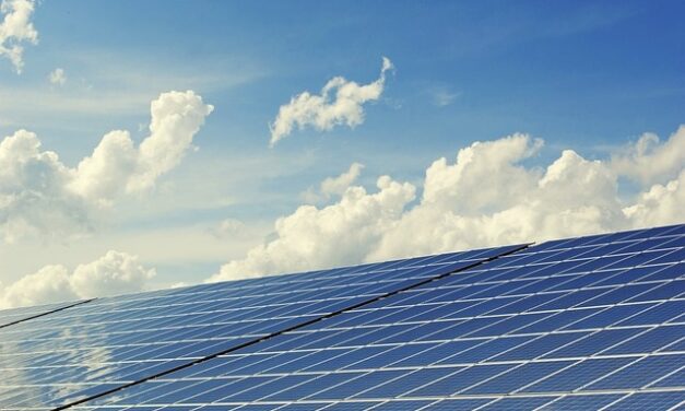 Annulation du projet de centrale photovoltaïque au François