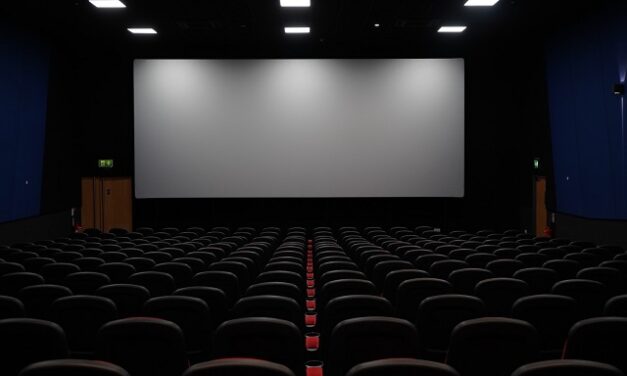 Pérennité des cinémas Outre-mer : après le Sénat, le texte sur le bureau de l’Assemblée