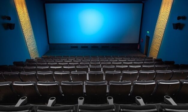 Taux de location des films en Outre-mer :  la loi « Conconne » adoptée par l’Assemblée