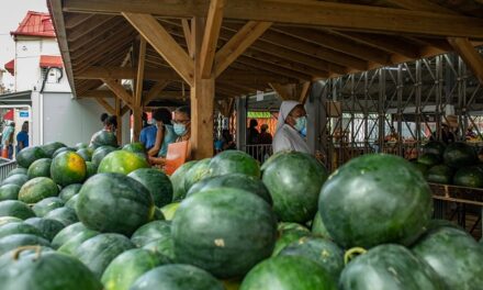 Agriculture : Lecthimy interpelle l’Etat pour un plan de soutien d’urgence