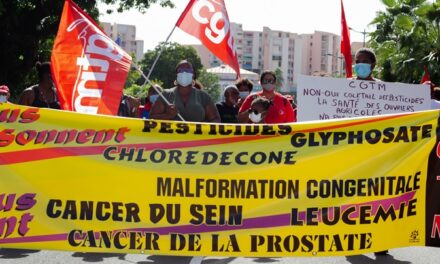 Un rapport sur les pollutions chimiques en Martinique