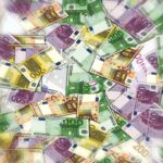 Renforcer la cohésion sociale et la transition écologique aux Antilles-Guyane 