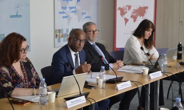 Économie des Outre-mer : des perspectives peu favorables à court terme