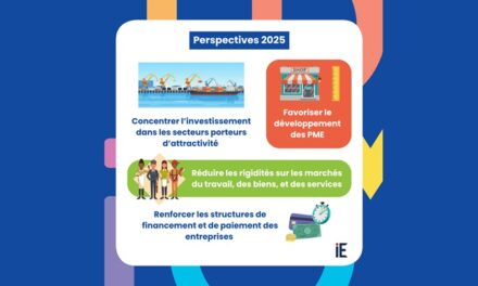 Une activité économique martiniquaise dégradée en 2024