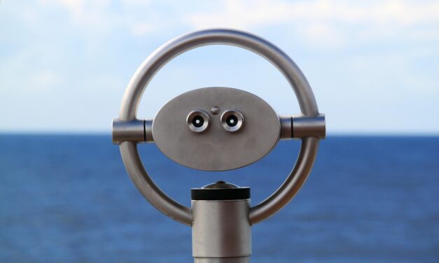 Une saison des croisières record pour la Martinique