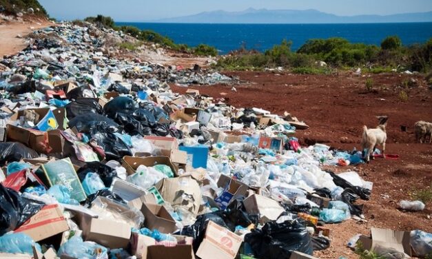 Le CESECEM publie une motion pour une meilleure gestion des déchets en Martinique