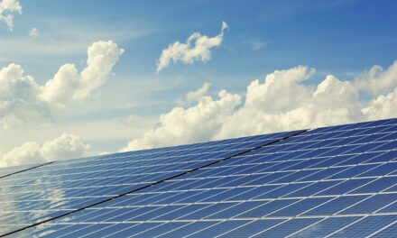 Bilan énergétique 2023 : la Martinique face au défi de la transition