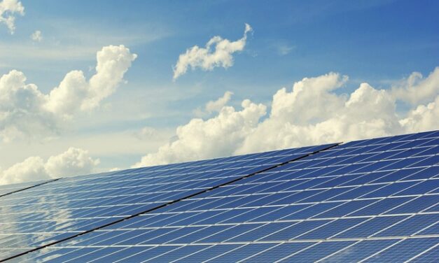Bilan énergétique 2023 : la Martinique face au défi de la transition
