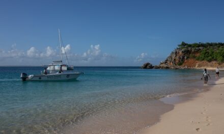 Outre-mer et diplomatie climatique : une marginalisation persistante