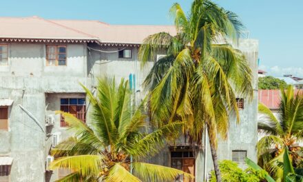 Plus de ménages multigénérationnels et de logements suroccupés dans les DOM