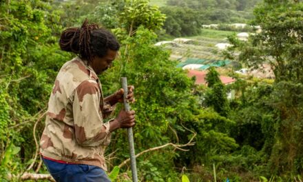 La CTM lance le CTEA, un dispositif pour soutenir l’agroécologie