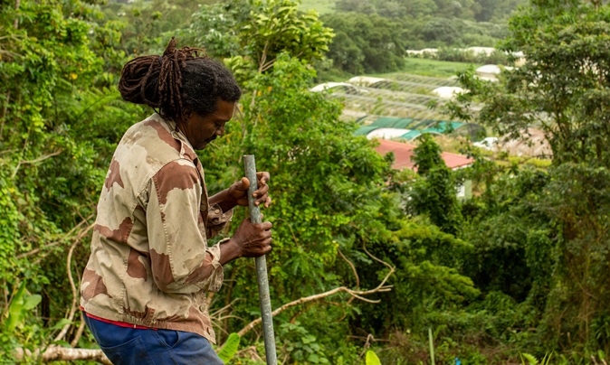 La CTM lance le CTEA, un dispositif pour soutenir l’agroécologie