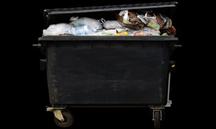 Le déficit du SMTVD de nouveau pointé par la Cour des comptes