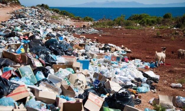Le CESECEM publie une motion pour une meilleure gestion des déchets en Martinique