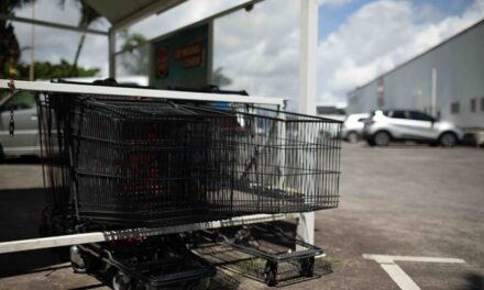 Vie chère : des baisses de prix confirmées par l’État en Martinique