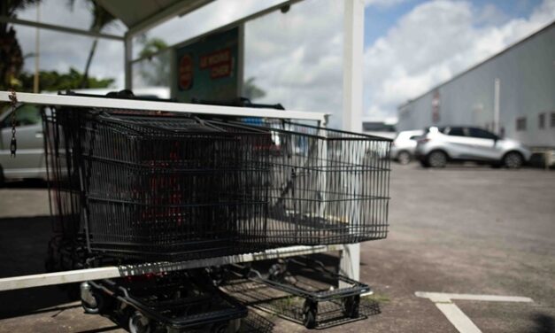 Vie chère : des baisses de prix confirmées par l’État en Martinique
