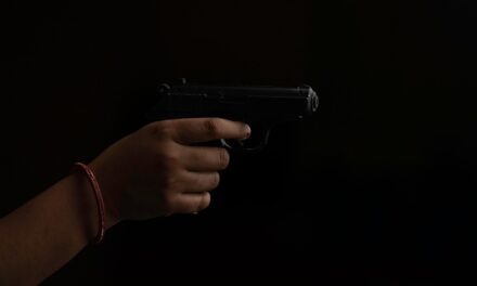 Violences armées en Martinique, l’État interpellé après trois homicides