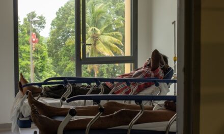 Vieillissement et inégalités au cœur du diagnostic du CESE