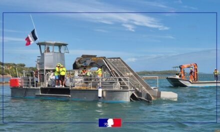 Sargasses : renforcement des moyens maritimes de collecte