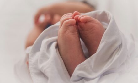 Le nombre de naissances ne diminue pas en 2025